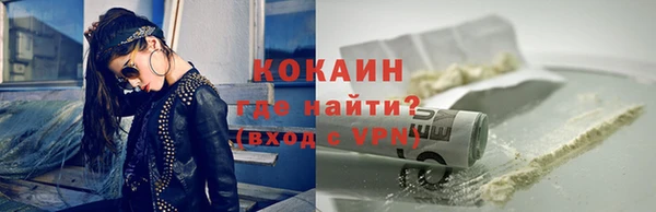 мдпв Няндома