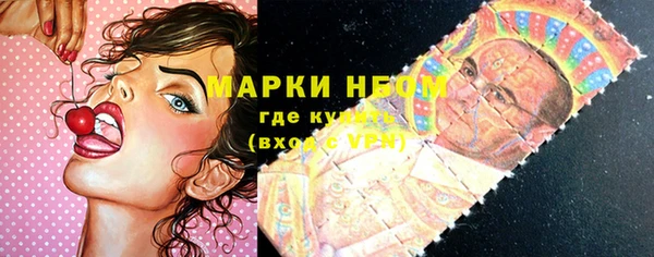 мдпв Няндома