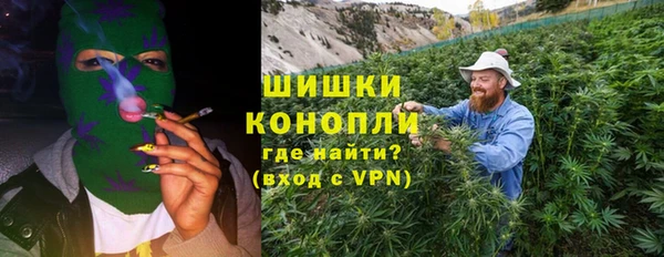 прущие грибы Абаза