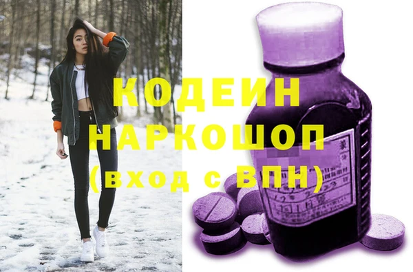 мдпв Няндома