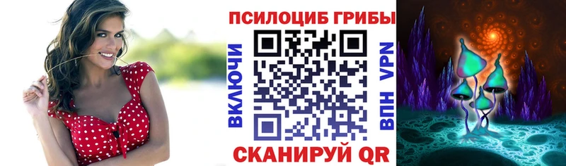 Галлюциногенные грибы прущие грибы  Фурманов 