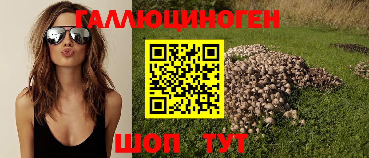 Псилоцибиновые грибы мицелий Фурманов