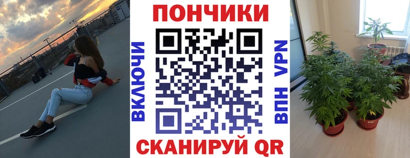 KRAKEN tor  Фурманов  Каннабис тримм 